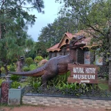 Natural History Museum Trivandrum 